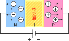 圖 - 逆向電壓：P層和N層接合後，電洞和電子也將跟著結合，而在電層界面形成中性層，也就是空乏層。