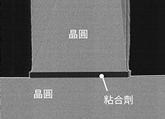 晶圓鍵合截面
