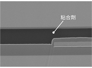 晶圓鍵合截面/階梯