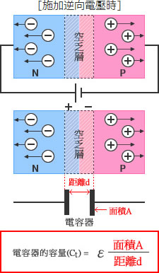 什麼是端子間容量(Ct)？