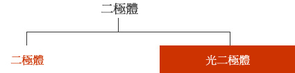 圖 - 依積體性分類