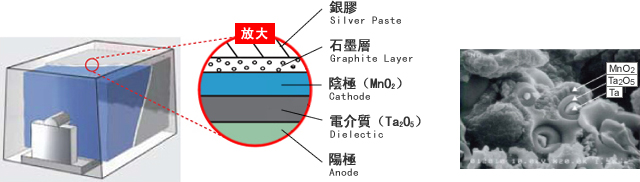 鉭質電容構造 示意圖