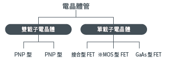 構造來進行分類