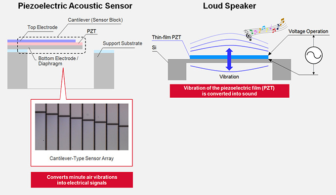 Piezoelectric Acoustic Sensor Loud Speaker and