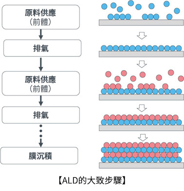 ALD的大致步驟